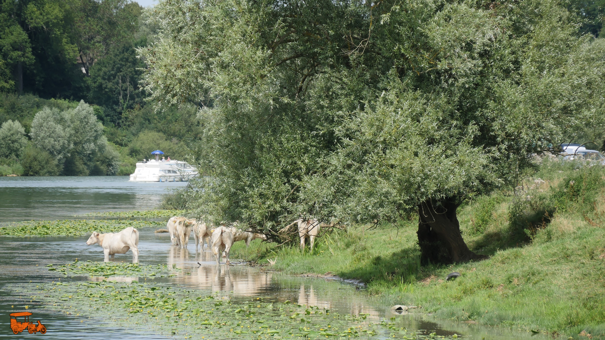 saone-delta-1980-46 DxO